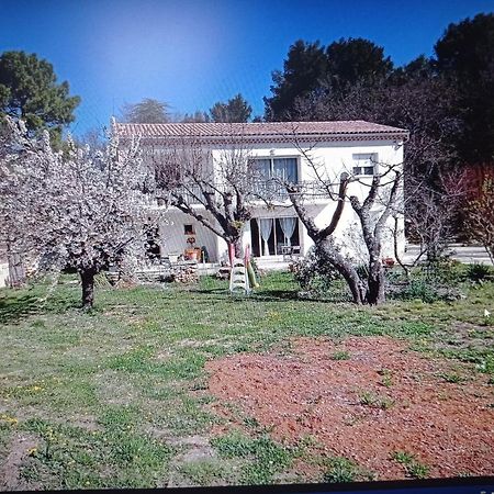 La Maison De Papou La Vigne A Nans Les Pins 83860 Ngoại thất bức ảnh