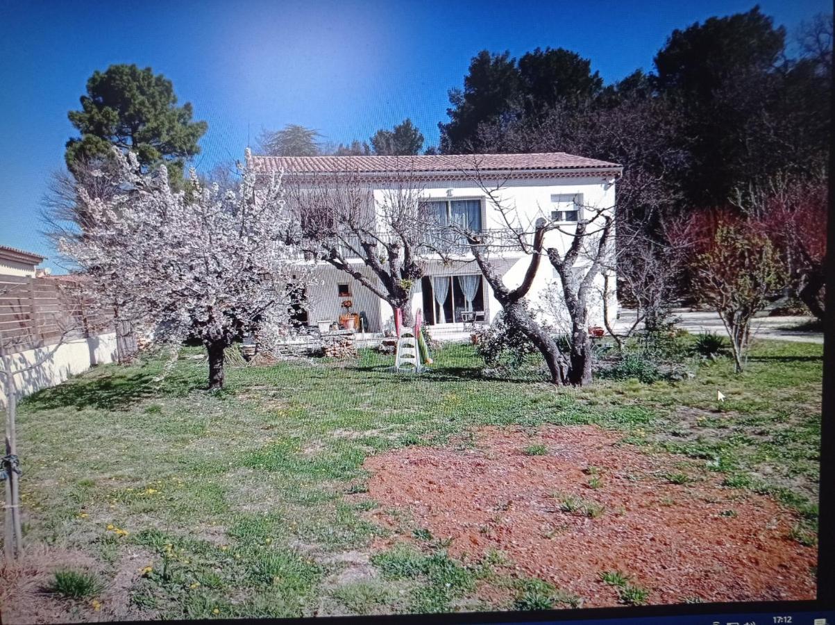 La Maison De Papou La Vigne A Nans Les Pins 83860 Ngoại thất bức ảnh